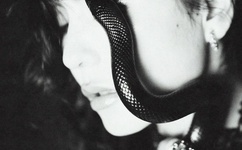 青青草免费公开视频